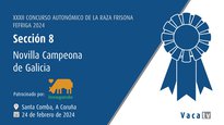 Novilla campeona de Galicia