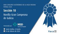 Novilla gran campeona de Galicia