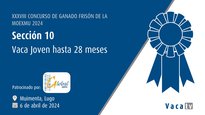 Vaca nova ata 28 meses