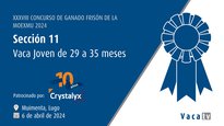 Vaca nova de 29 a 35 meses