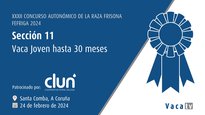 Vaca joven hasta 30 meses