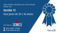 Vaca joven de 30 a 36 meses