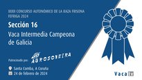 Vaca intermedia campeona de Galicia