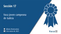 Sección 17. Vaca nova campiona de Galicia