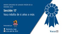 Vaca adulta de 6 anos ou máis