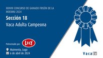 Vaca adulta campiona