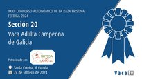 Vaca adulta campeona de Galicia