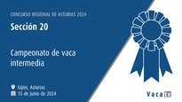 Sección 20: Campeonato de vaca intermedia