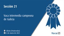 Sección 21. Vaca intermedia campiona de Galicia