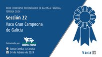 Vaca gran campeona de Galicia