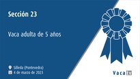 Sección 23. Vaca adulta de 5 anos