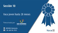Sección 10. Vaca joven hasta 28 meses