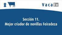 Secciones 11 y 12. Mejor criador de novillas Feiradeza 2022 y Open Feiradeza 2022