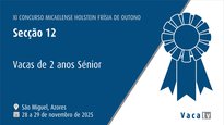 Vacas de 2 años sénior