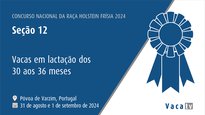 Vacas en lactación de 30 a 36 meses