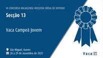 Vaca joven campeona