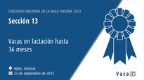 Vacas en lactación hasta 36 meses