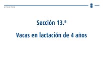 Vacas en lactación de 4 años