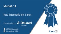 Sección 14. Vaca intermedia de 4 años