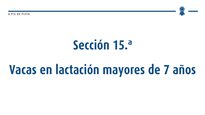 Vacas en lactación mayores de 7 años