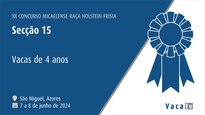 Vacas de 4 anos