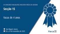 Vacas de 4 años
