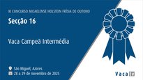 Vaca intermedia campeona