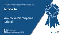 Vaca intermedia campeona nacional