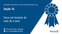 Vacas en lactación de más de 6 años