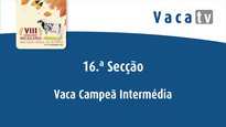 Vaca intermedia campeona