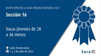 Vacas jóvenes de 28 a 36 meses
