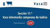Sección 17. Vaca intermedia campeona de Galicia