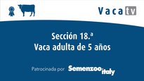 Sección 18. Vaca adulta de 5 años