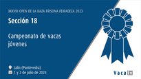 Campeonato de vacas jóvenes