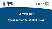 Vacas sénior de 6 anos ou máis con máis de 50.000 litros producidos