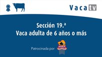 Sección 19. Vaca adulta de 6 años o más
