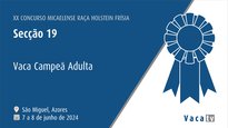 Vaca adulta campiona