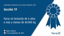 Vacas en lactación de 6 anos ou máis e menos de 60.000 kg