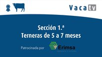 Sección 1. Terneras de 5 a 7 meses
