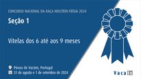Terneras de 6 a 9 meses