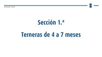 Xatas de 4 a 7 meses