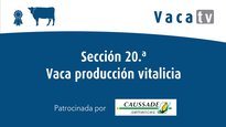 Sección 20. Vaca producción vitalicia