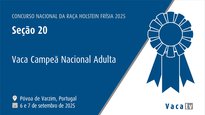 Vaca Campeona Nacional Adulta