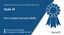 Vaca adulta campeona nacional