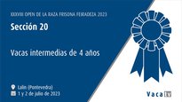 Vacas intermedias de 4 años