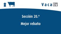 Mellor rabaño