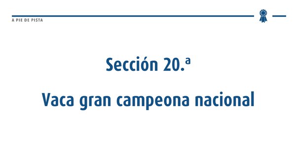 Gran final