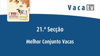 Mejor conjunto de vacas