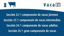 Campeonatos de vacas