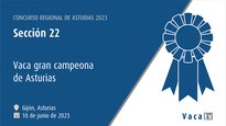 Sección 22: Vaca gran campiona de Asturias